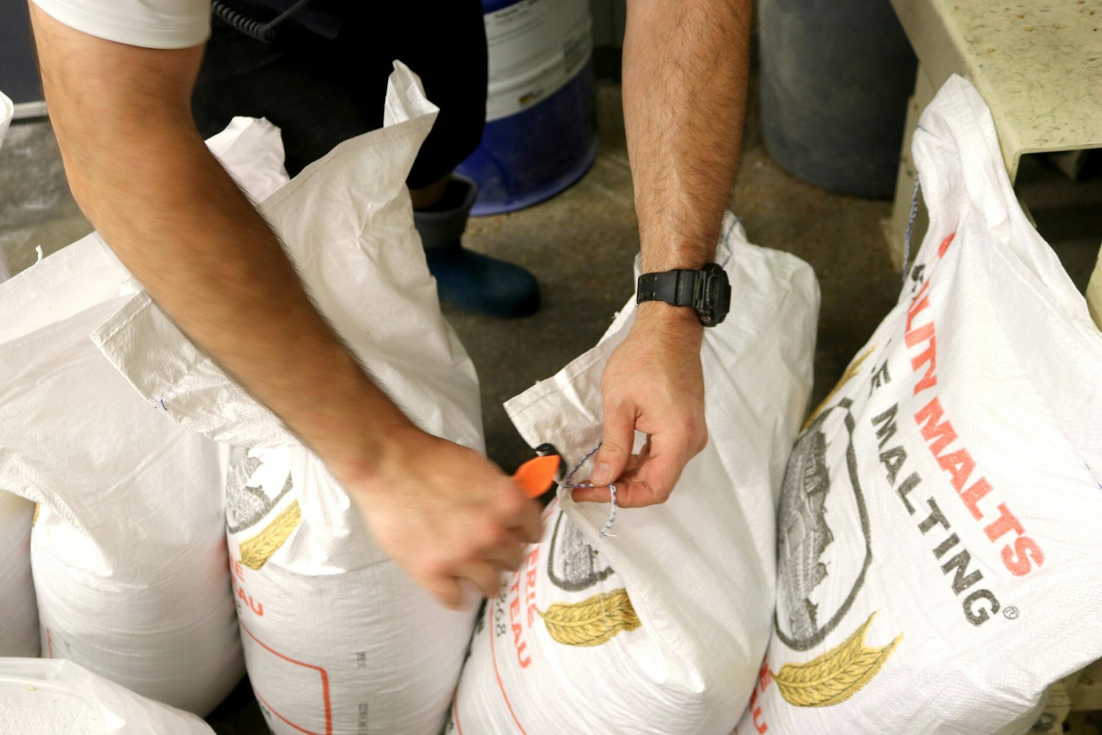 A man opening large malt sacks indoors at a brewery. Ideal for industry-related content.